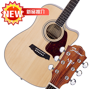 山东劳立斯世正乐器有限公司 吉他产品 富尔肯原声 FD50C 